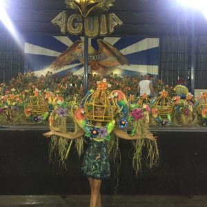 carnaval-saudavel-diversao-bebida-alegria-cuidados-sao-paulo