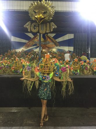 carnaval-saudavel-diversao-bebida-alegria-cuidados-sao-paulo