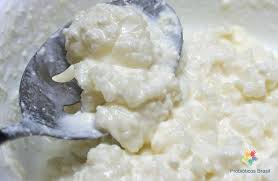 kefir_de_leite- probiotico_natural-disbiose-sii