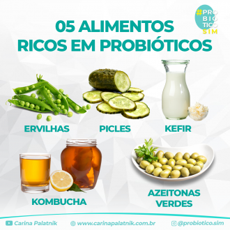 probioticos-naturais